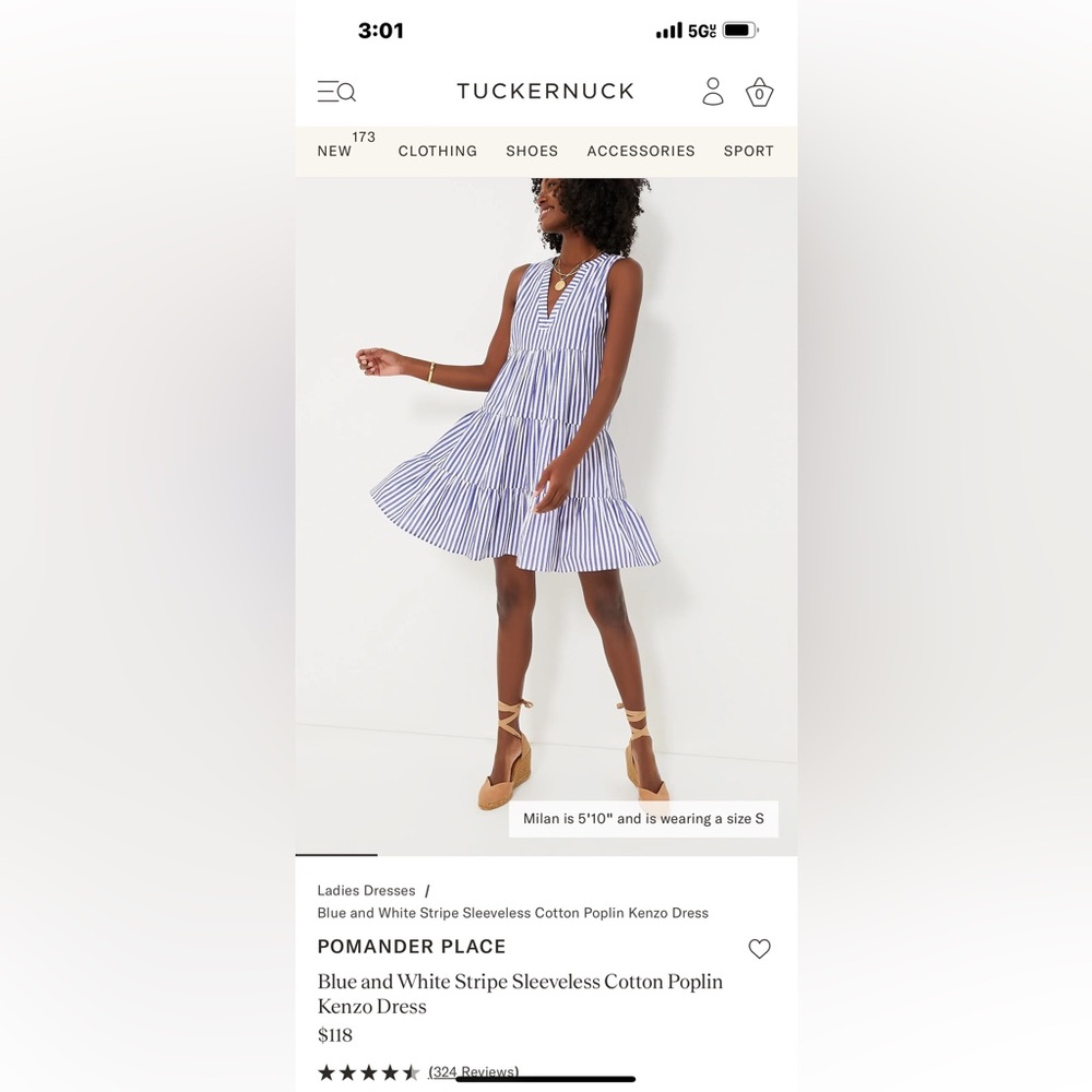 Pomander Place Blue and White Striped Sleeveless Mini Dress